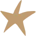 vector